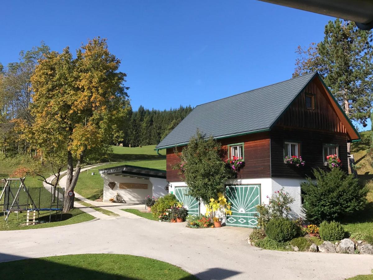 Ferienhaus Zwickelreith Göstling an der Ybbs Exteriér fotografie