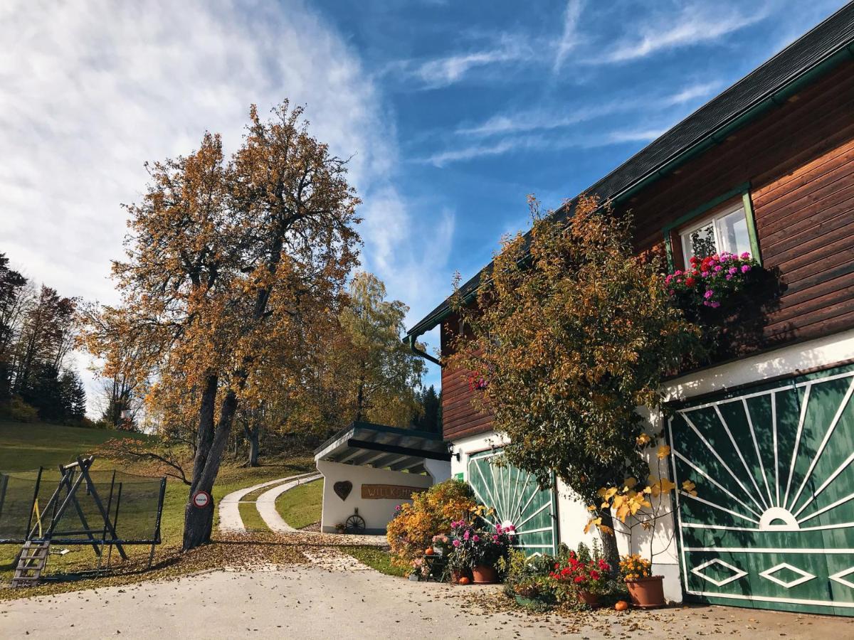 Ferienhaus Zwickelreith Göstling an der Ybbs Exteriér fotografie