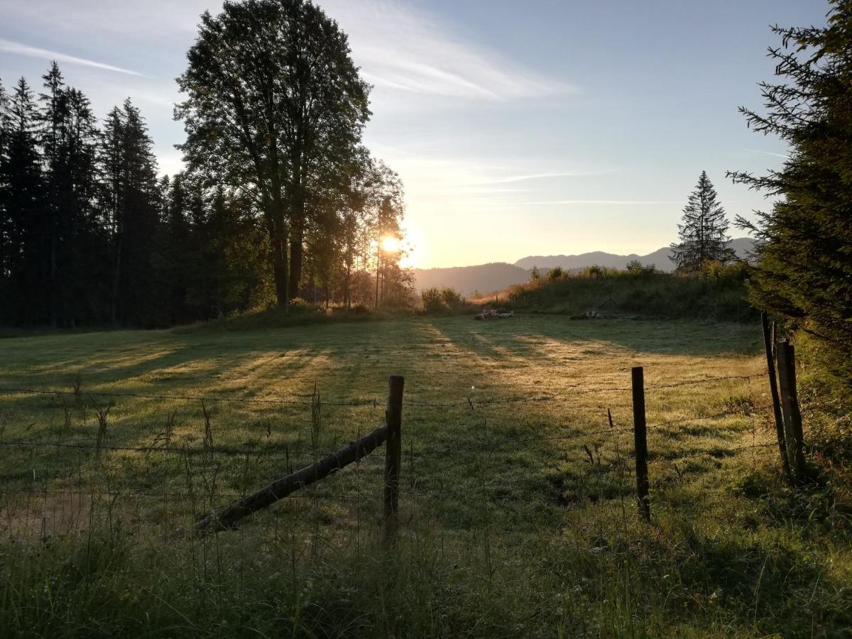 Ferienhaus Zwickelreith Göstling an der Ybbs Exteriér fotografie
