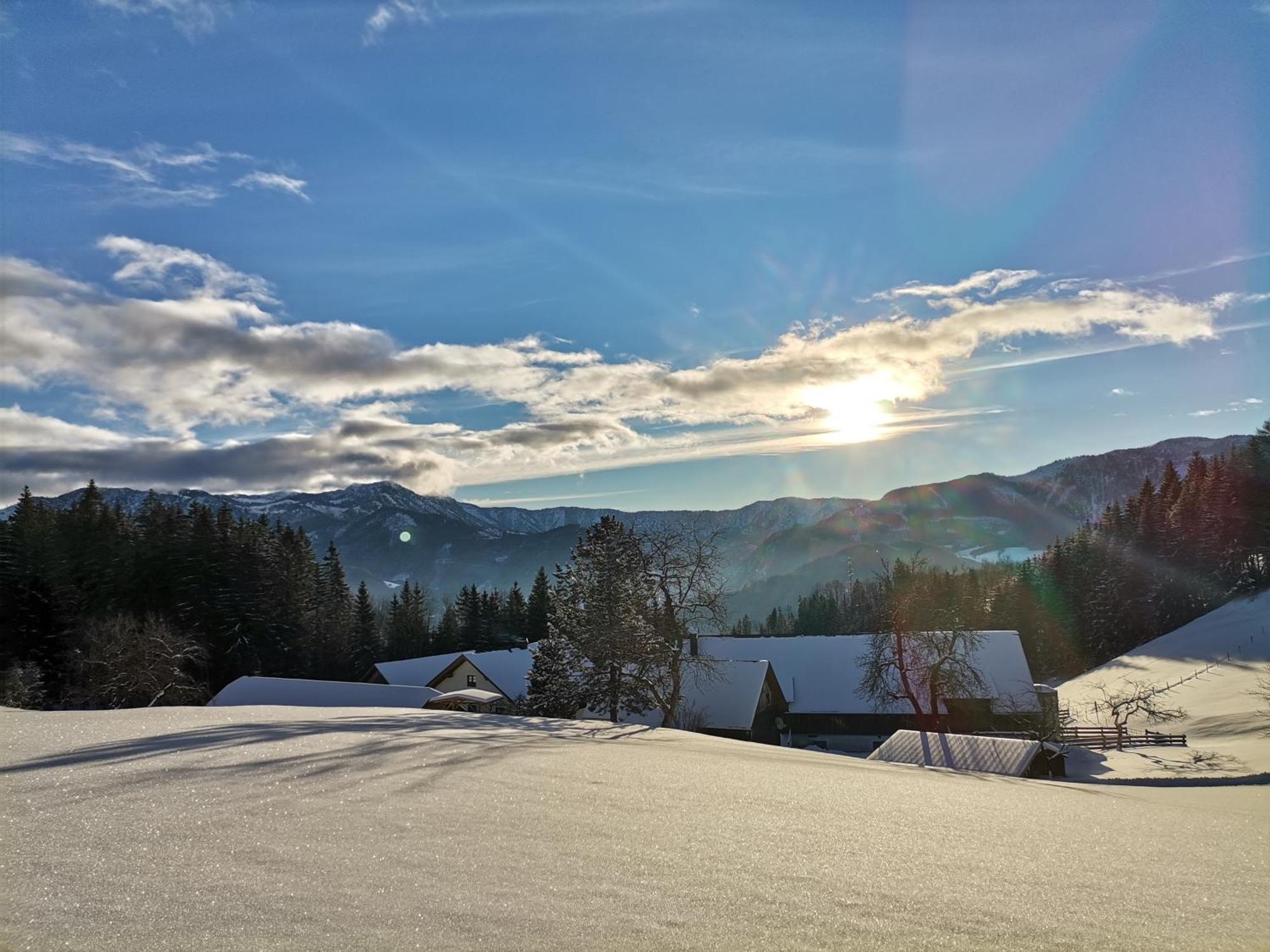 Ferienhaus Zwickelreith Göstling an der Ybbs Exteriér fotografie