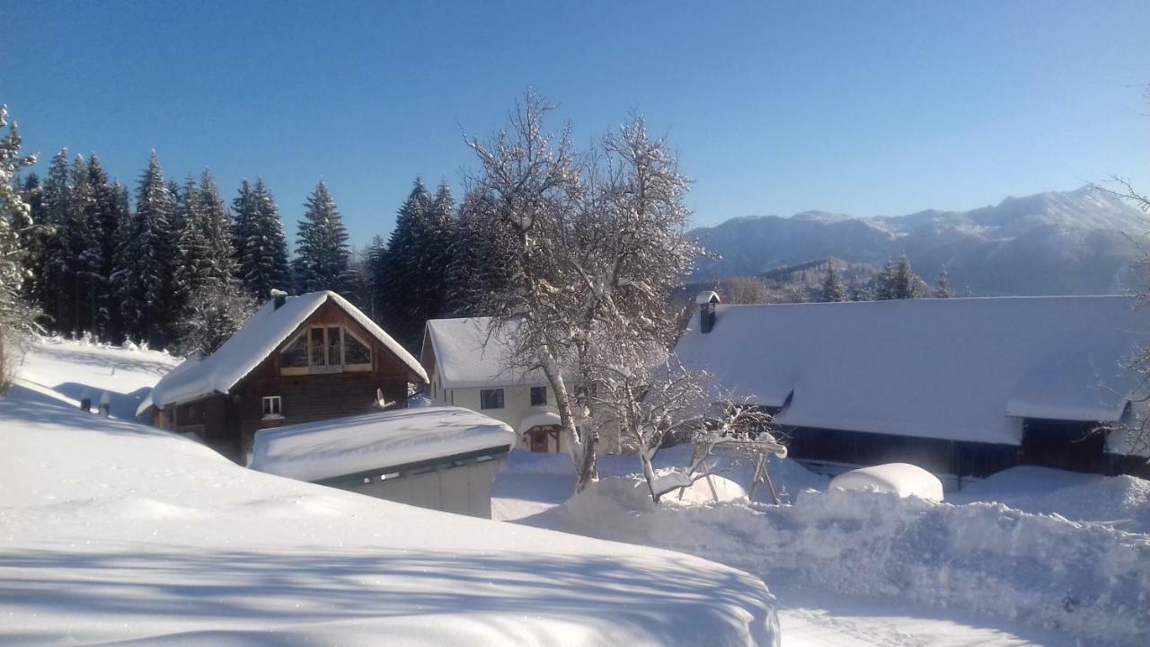 Ferienhaus Zwickelreith Göstling an der Ybbs Exteriér fotografie